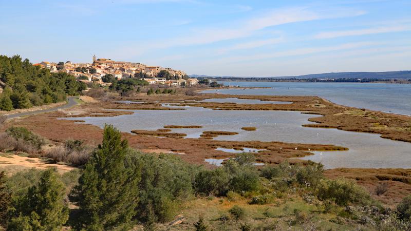 Bages