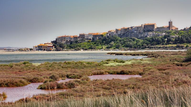 Bages