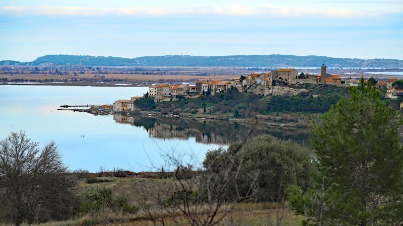 Bages