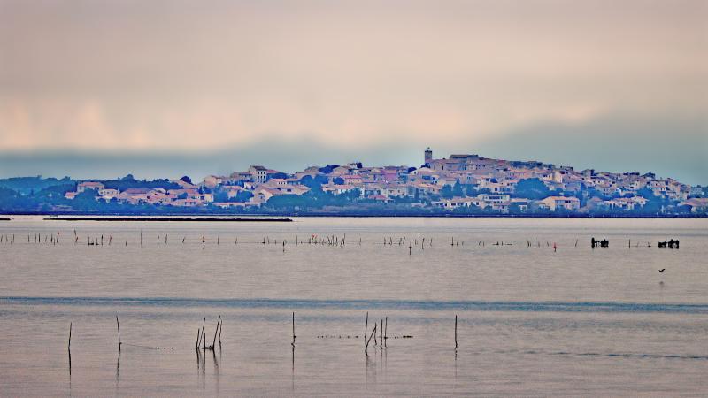 Bages