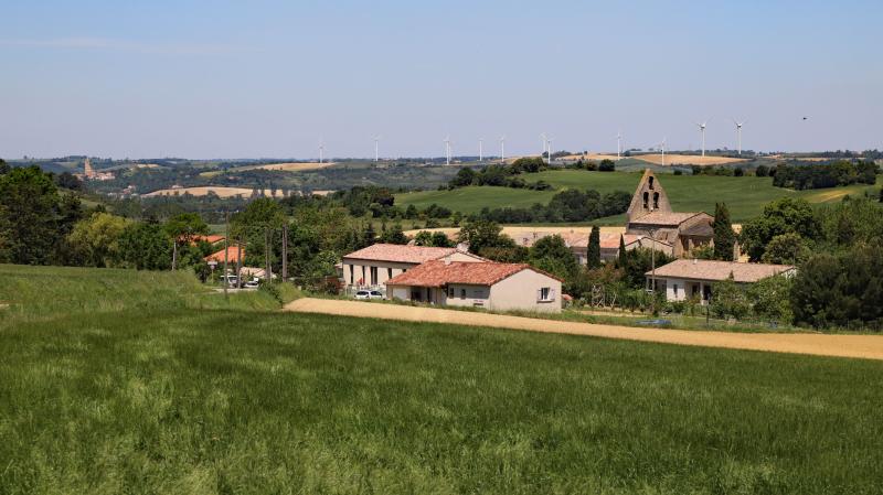 Baraigne