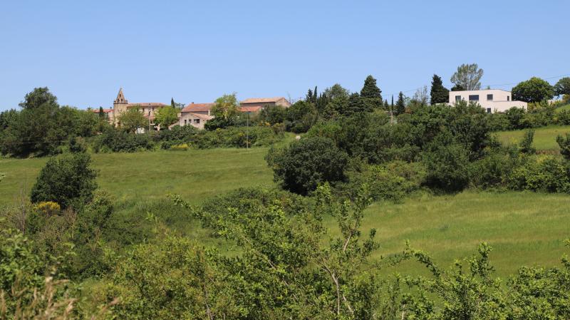 Baraigne