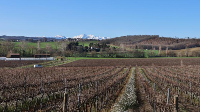 Bellegarde-du-Razès