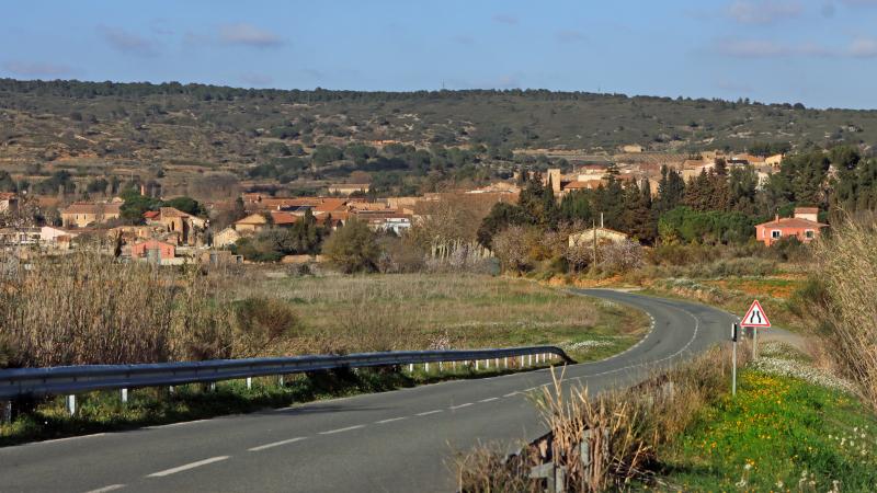 Bizanet