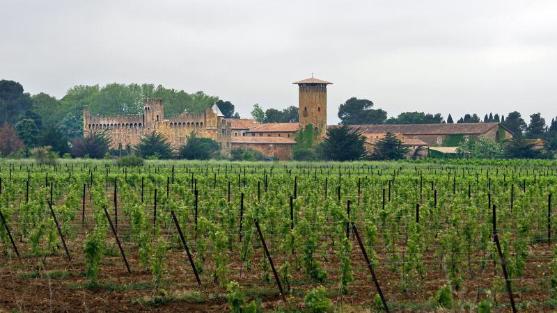 Bizanet