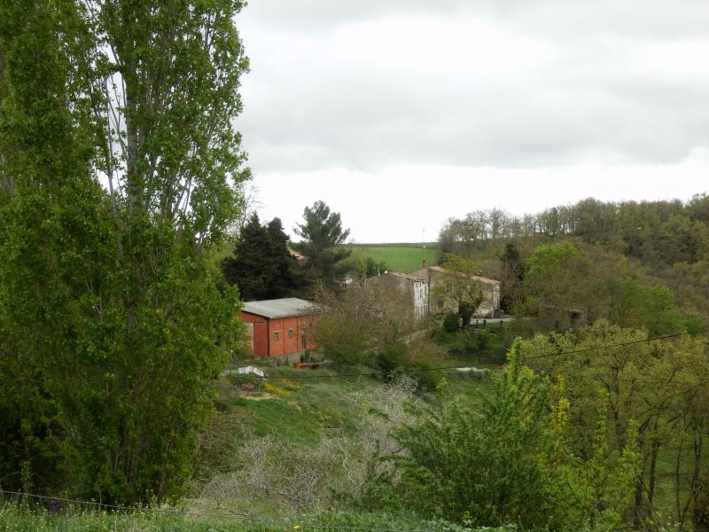 Bourigeole