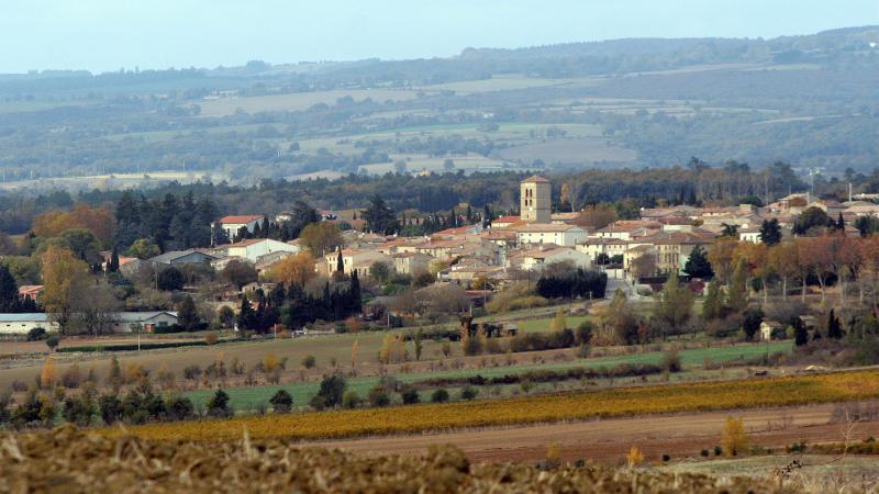 Carlipa