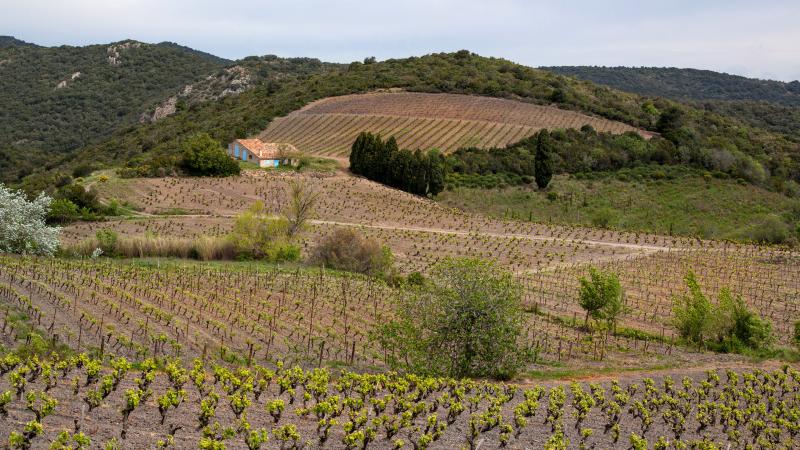 Cascastel-des-Corbières