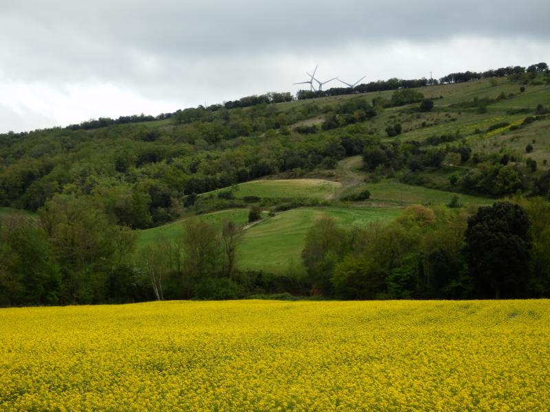 Castelreng