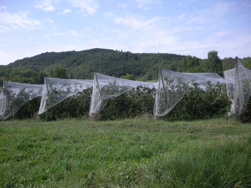 Corbières