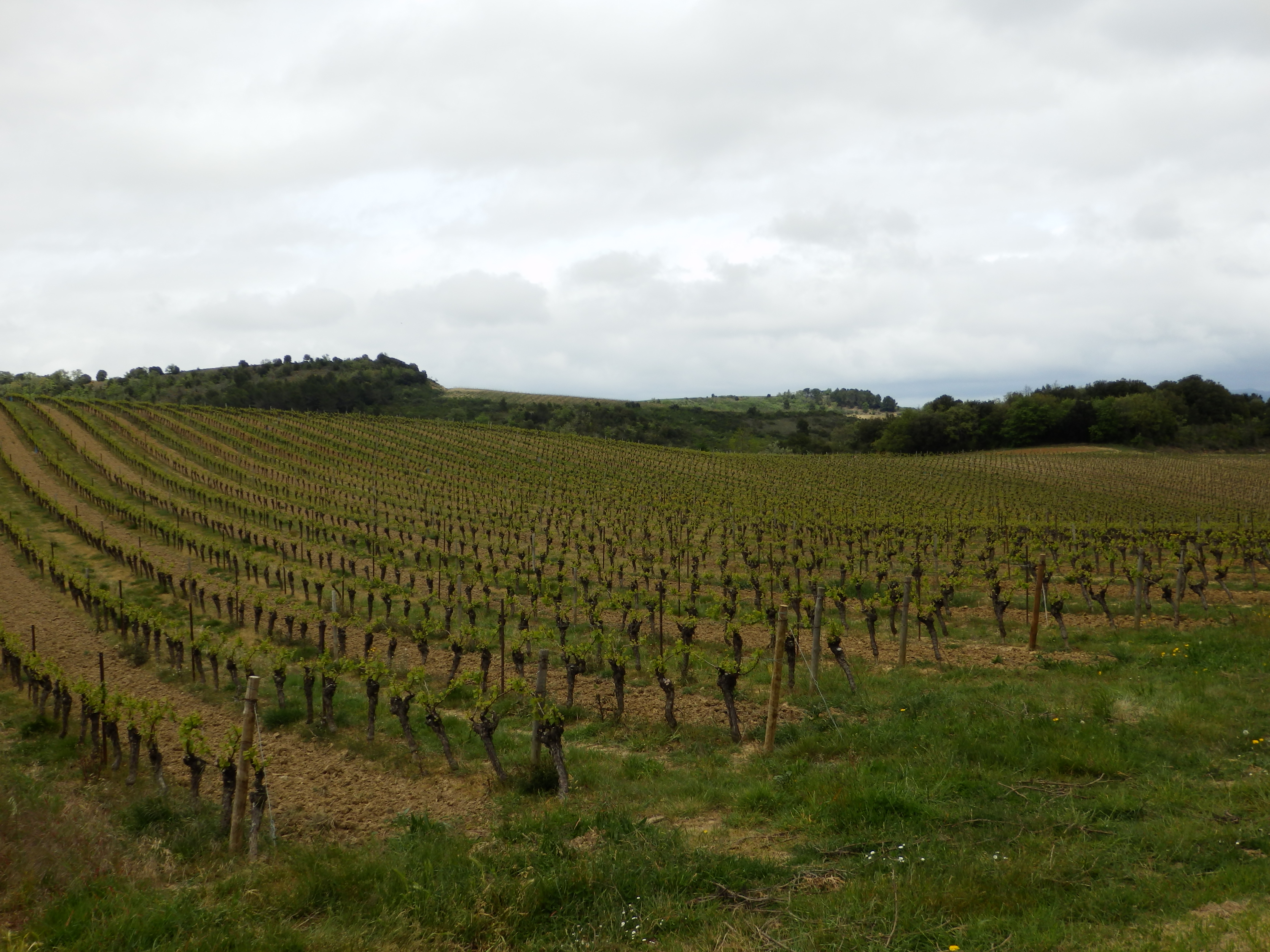 Donazac