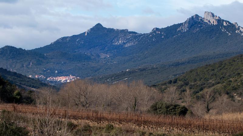 Duilhac-sous-Peyrepertuse