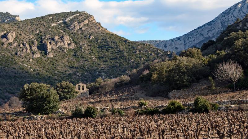 Embres-et-Castelmaure