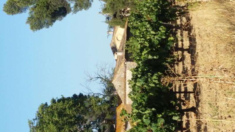 Vue de Ginestas, Aude (11120)