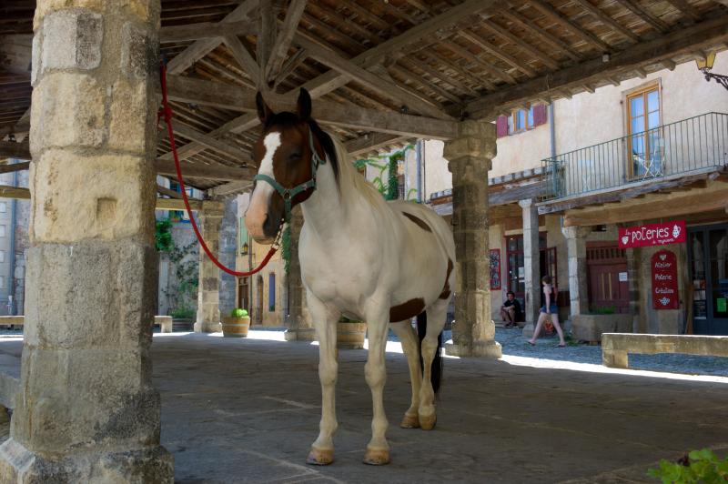 Lagrasse