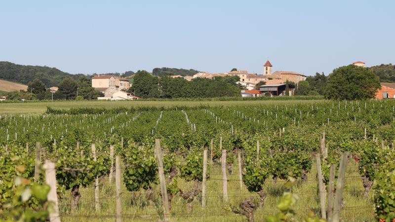 Vue de Lasserre-De-Prouille, Aude (11270)