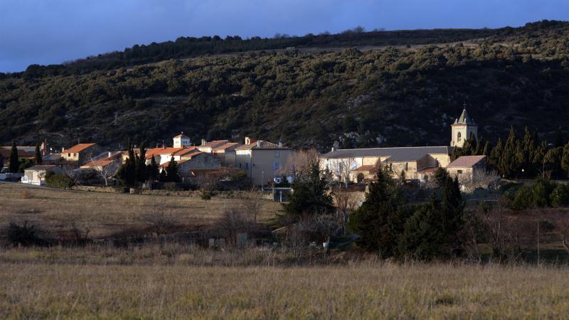 Limousis