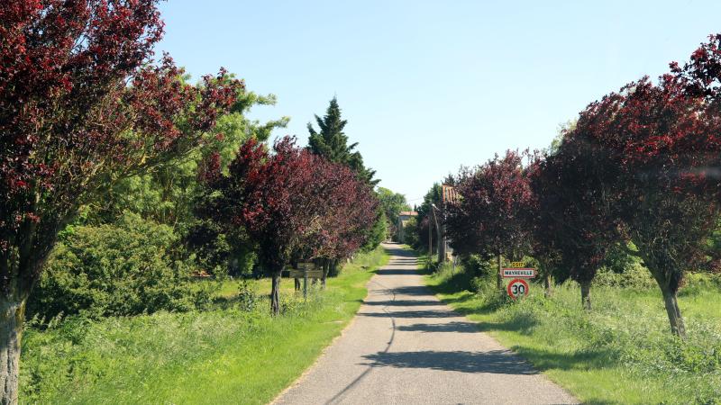 Mayreville