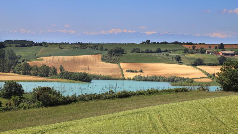 Molleville