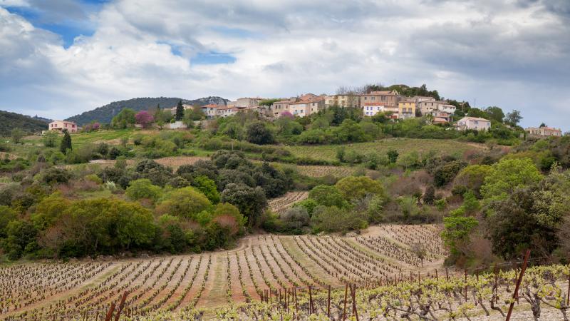 Montgaillard