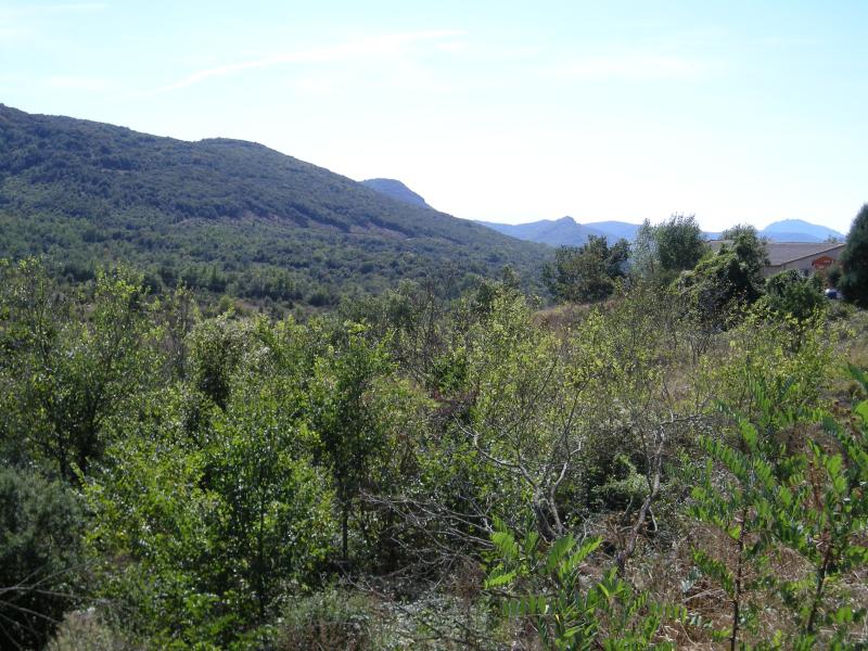 Mouthoumet