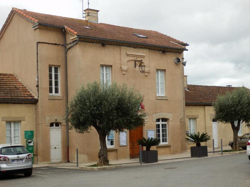 Pauligne