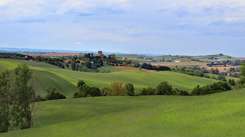 Plaigne