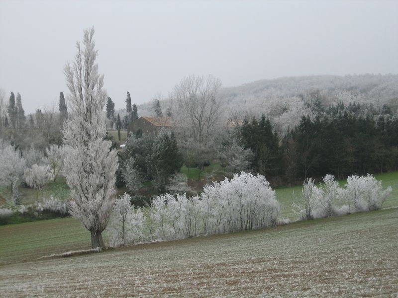 La Pomarède