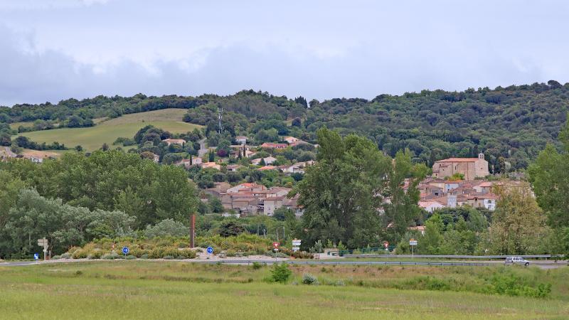 Pomas