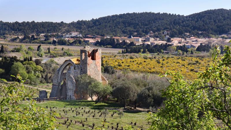 Portel-des-Corbières