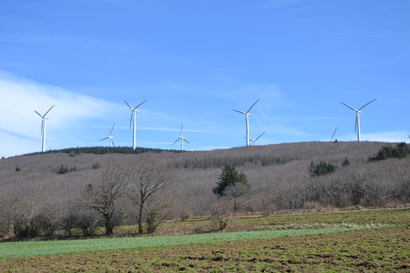 Pradelles-Cabardès