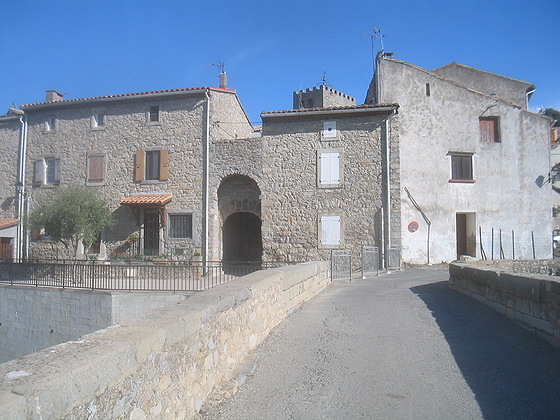 Ribaute