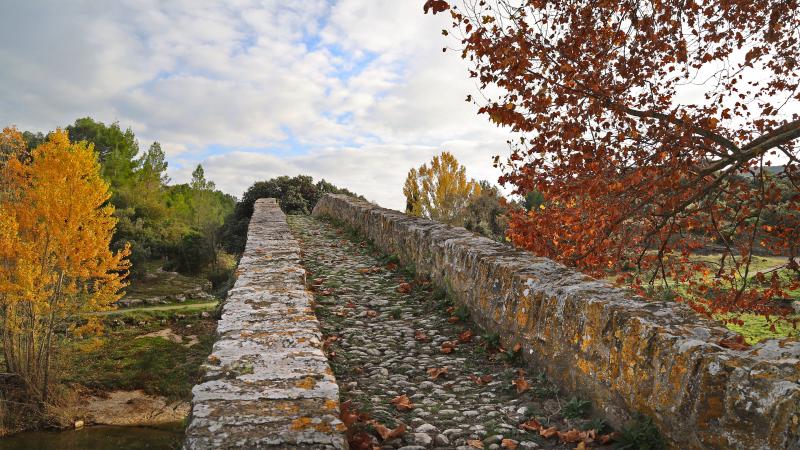Rieux-en-Val