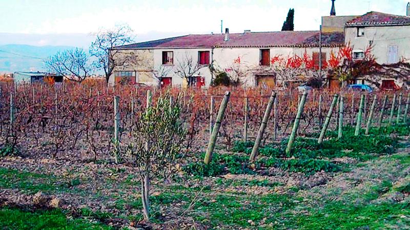 Rieux-Minervois
