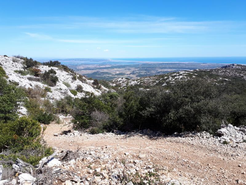 Roquefort-des-Corbières