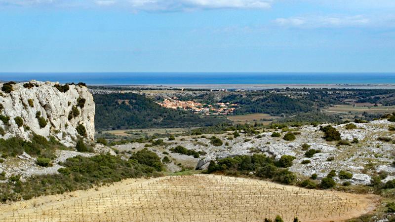 Roquefort-des-Corbières