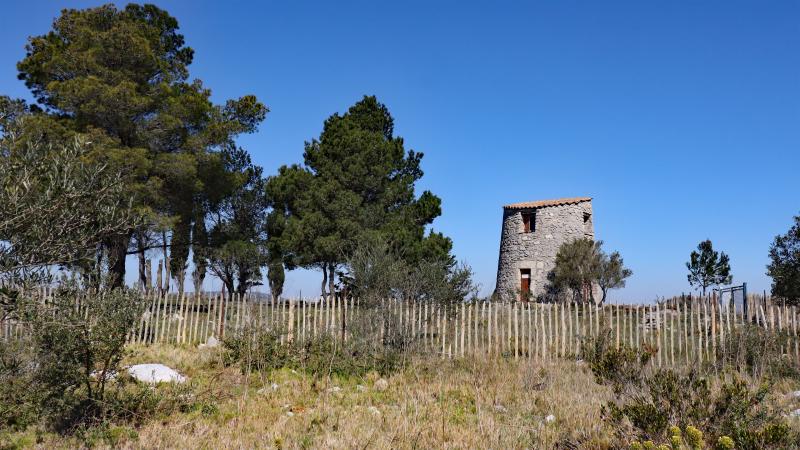 Roquefort-des-Corbières