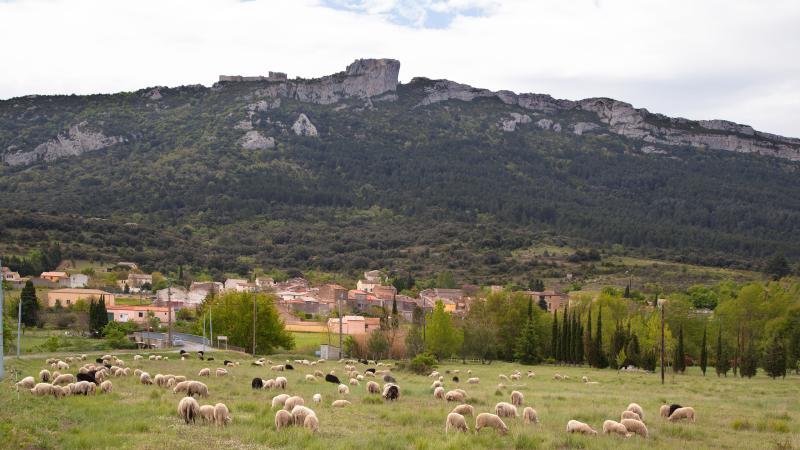 Rouffiac-Des-Corbières