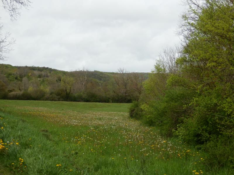 Saint-Benoît