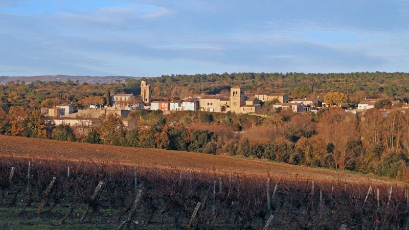 Saint-Martin-le-Vieil