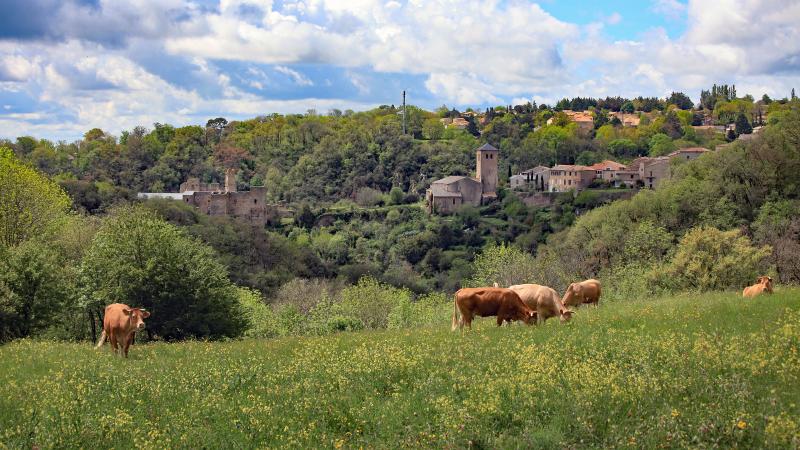Saissac