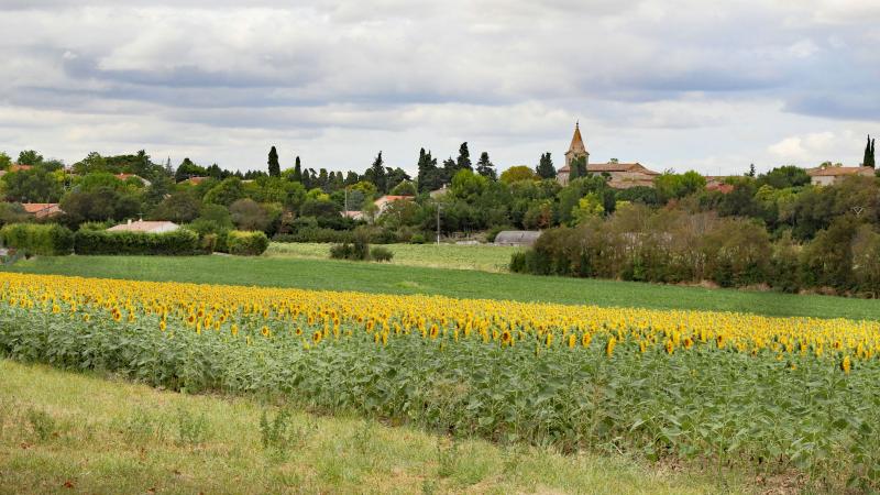 Souilhe