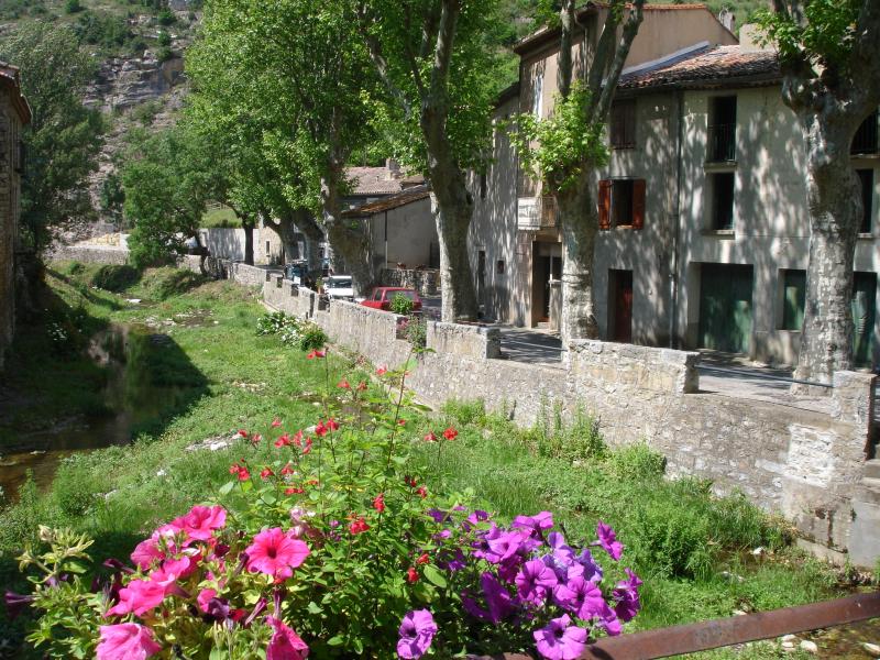 Termes