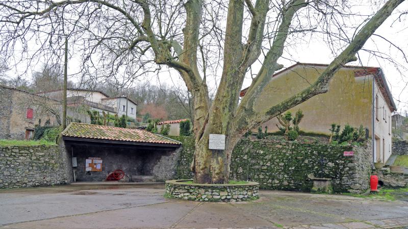 Villardebelle