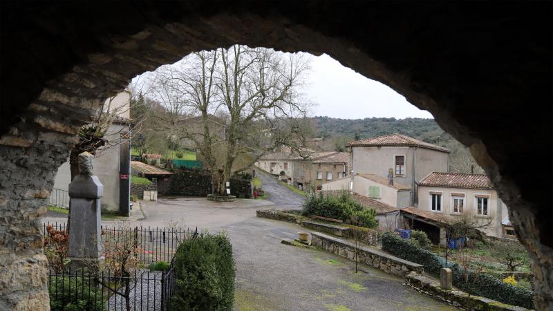 Villardebelle