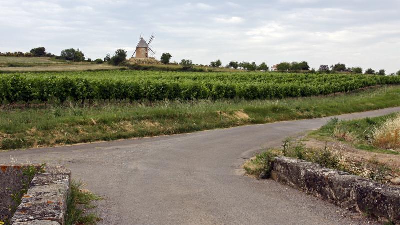 Villeneuve-Minervois