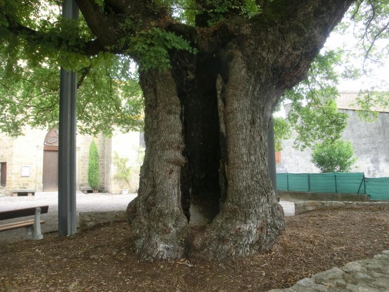 Villesèquelande