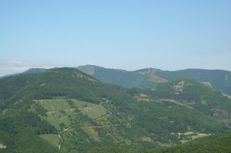 Brusque