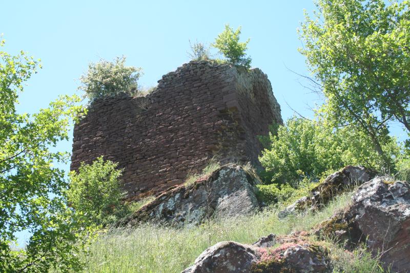 Combret