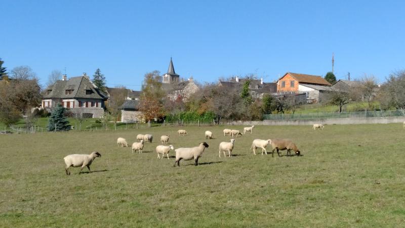 Florentin-la-Capelle